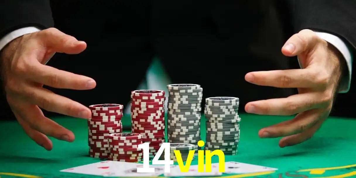 Promoção Relâmpago 14vin