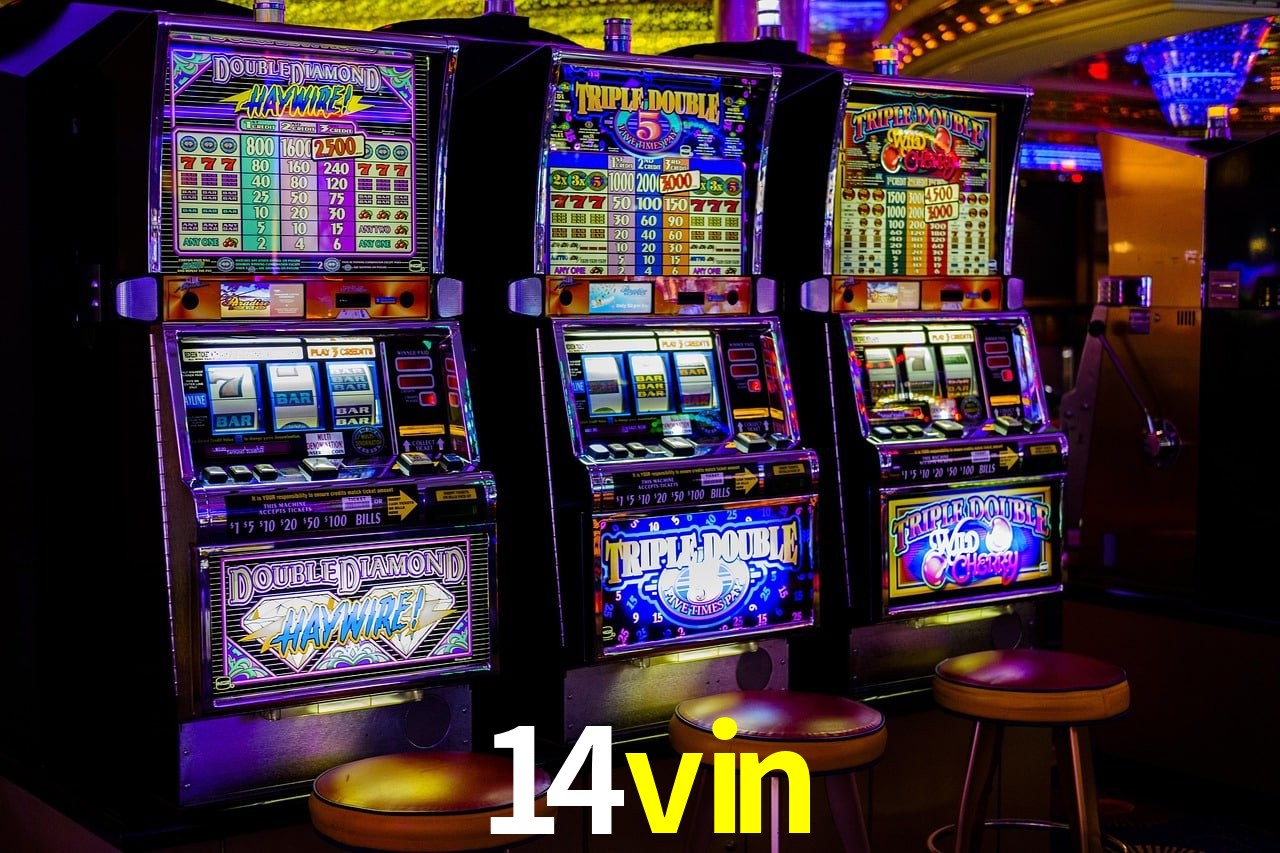 Casino Ao Vivo 14vin