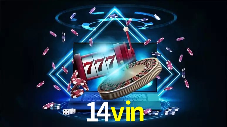 Experiência VIP 14vin