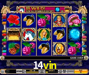 Descubra a Magia dos Jogos de Arcade no 14vin
